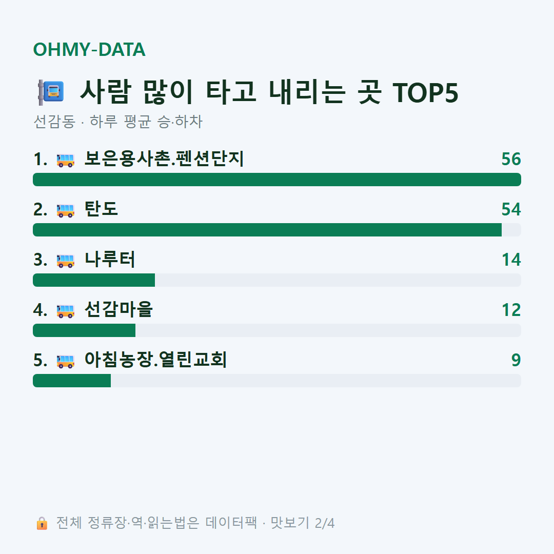선감동 맛보기