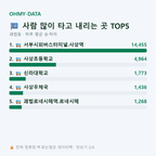 괘법동 맛보기