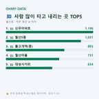 월산동 맛보기