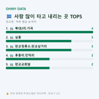 판교면 맛보기