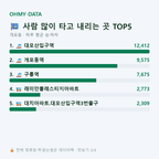 개포동 맛보기