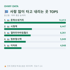 둔산동 맛보기