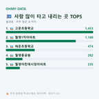 월영동 맛보기