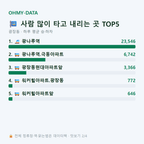 광장동 맛보기