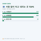 조양동 맛보기