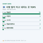 청일면 맛보기