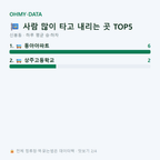 신봉동 맛보기