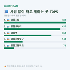 영동읍 맛보기