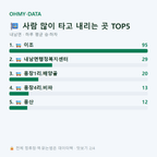 내남면 맛보기