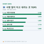 초읍동 맛보기