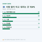 대전면 맛보기