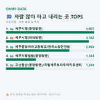 이도이동 맛보기