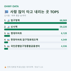 신사동 맛보기