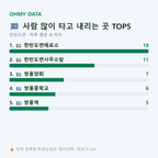 한반도면 맛보기