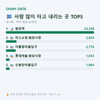 성사동 맛보기