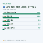 장천동 맛보기