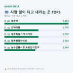 평촌동 맛보기