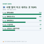 영북면 맛보기