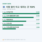 도마동 맛보기