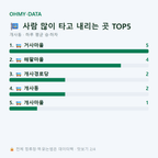 개사동 맛보기