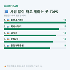 흥천면 맛보기