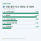 사우동 맛보기