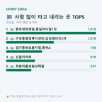언남동 맛보기