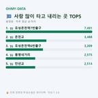 봉명동 맛보기