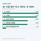 삼각동 맛보기