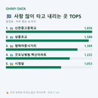 합정동 맛보기