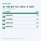 박촌동 맛보기