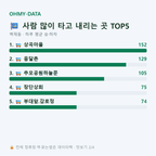 벽제동 맛보기