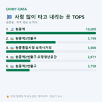 원종동 맛보기