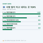 동천동 맛보기