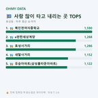 효성동 맛보기