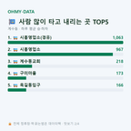 계수동 맛보기