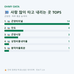 곤양면 맛보기