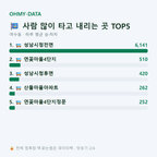 여수동 맛보기