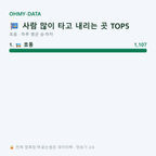 호동 맛보기