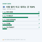 대별동 맛보기