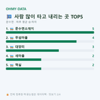 문수면 맛보기