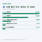 신사동 맛보기