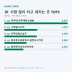 원천동 맛보기