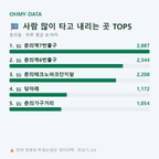 춘의동 맛보기