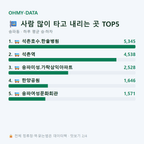 송파동 맛보기