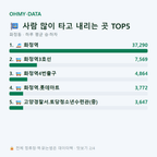 화정동 맛보기