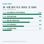 신안동 맛보기