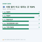 개포면 맛보기