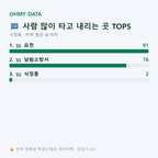 식정동 맛보기