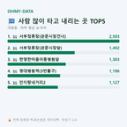 대명동 맛보기